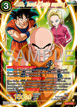 Krillin, Travail d’Équipe magistral