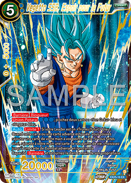 Vegetto SSB, Espoir pour le Futur