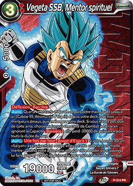 Vegeta SSB, Mentor spirituel