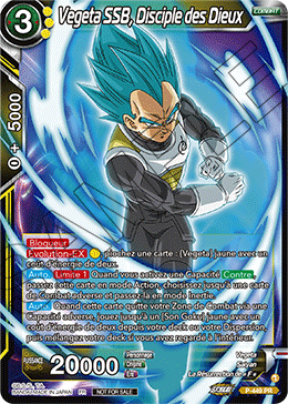 Vegeta SSB, Disciple des Dieux