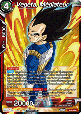 Vegeta, Médiateur