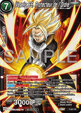 Vegeks SS, Protecteur de l’Ordre