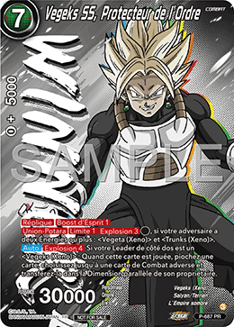 Vegeks SS, Protecteur de l’Ordre