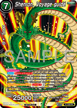 Shenron, Voyage guidé