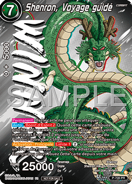 Shenron, Voyage guidé
