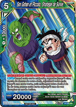 Son Gohan et Piccolo, Stratégie de Survie