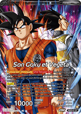 Son Goku et Vegeta