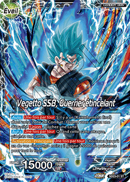 Vegetto SSB, Guerrier étincelant