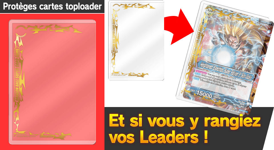 Protèges cartes toploader