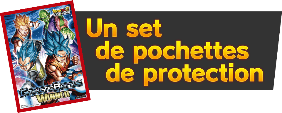 Un set de pochettes de protection