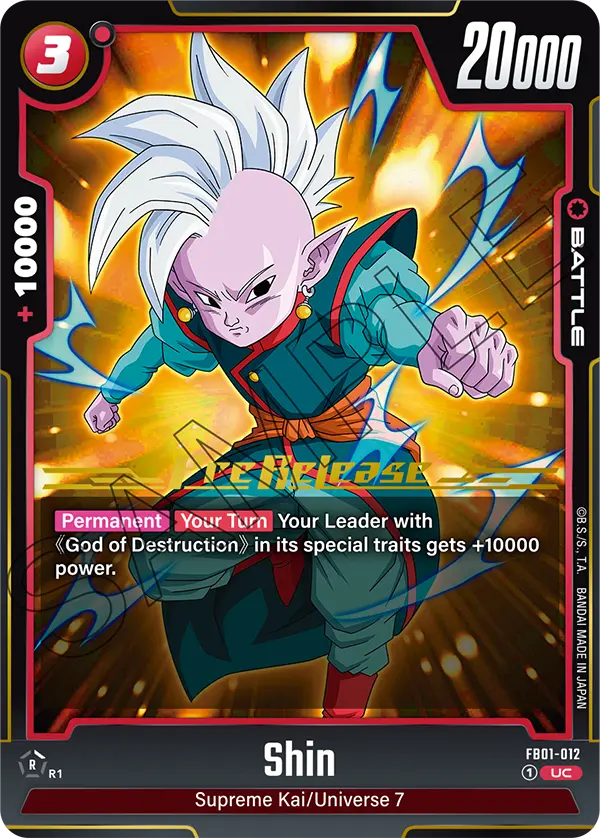 FB01-012 Shin