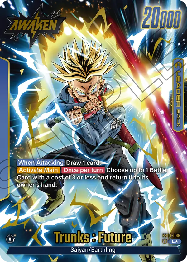 FB01-036 Trunks : Future