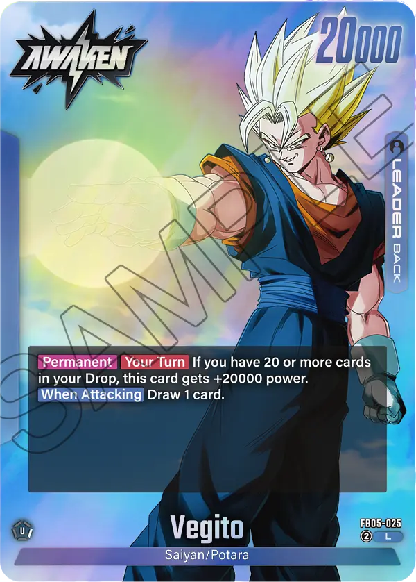 FB05-025 Vegito