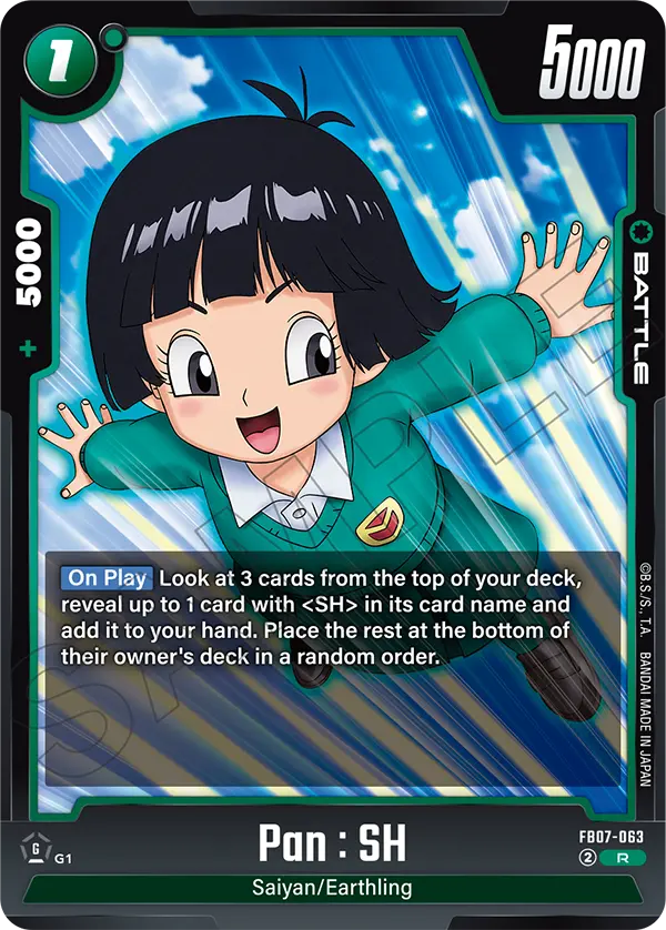FB07-063 Pan : SH