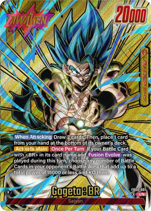 FB09-001 Gogeta : BR