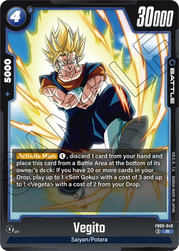 FB09-046 Vegito