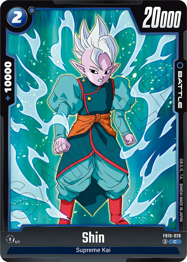 FB10-028 Shin