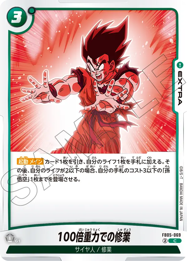 FB05-069 100倍重力下的修業