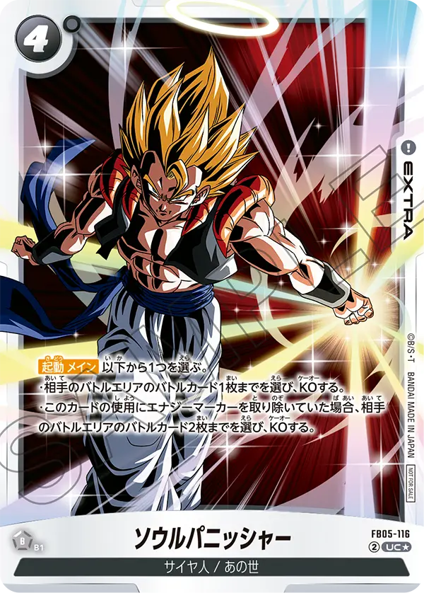 FB05-116 ソウルパニッシャー
