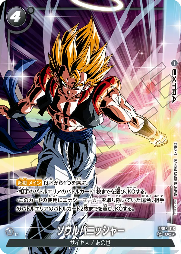 FB05-116 ソウルパニッシャー