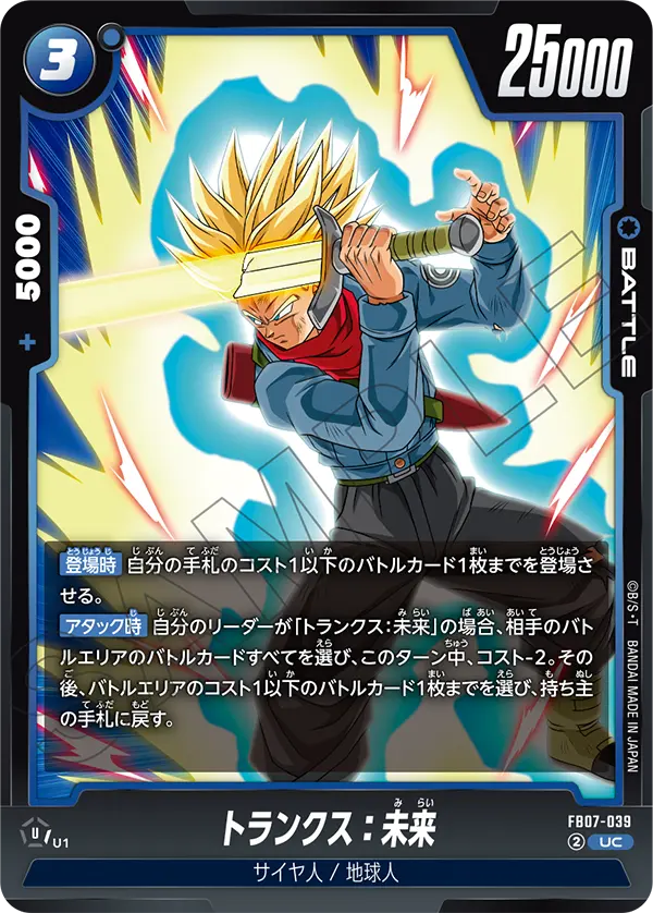 FB07-039 Trunks : Future