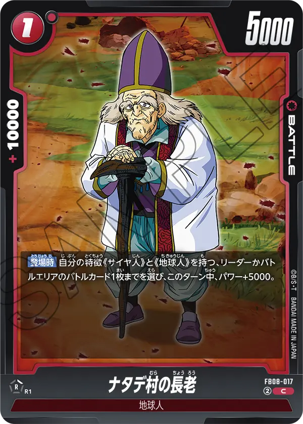 FB08-017 ナタデ村の長老