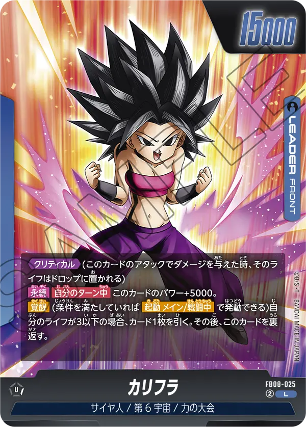 FB08-025 カリフラ