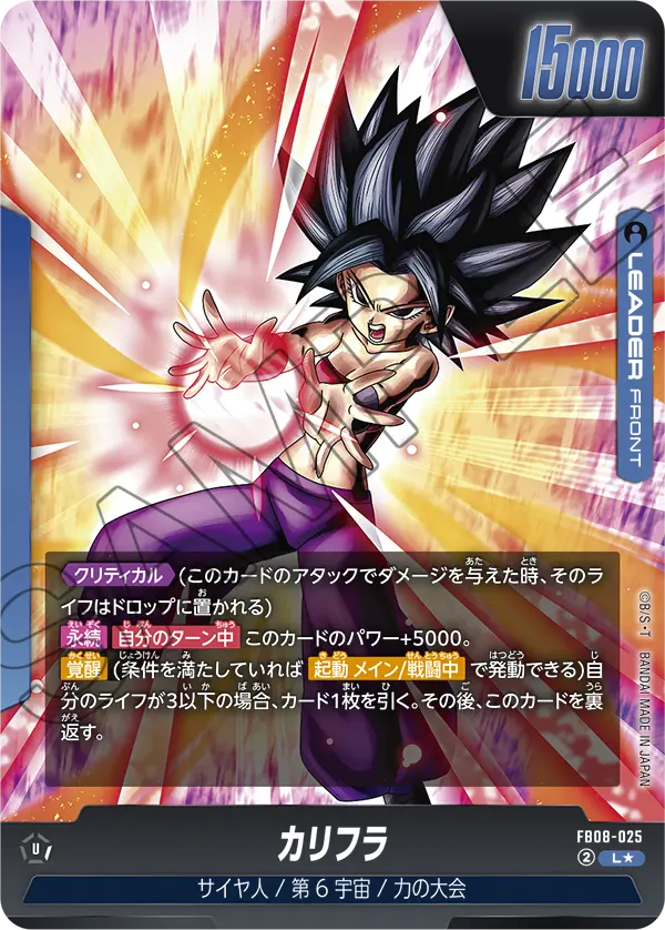 FB08-025 カリフラ