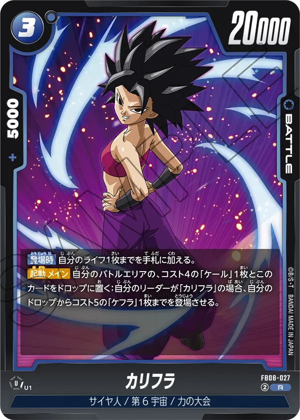 FB08-027 カリフラ