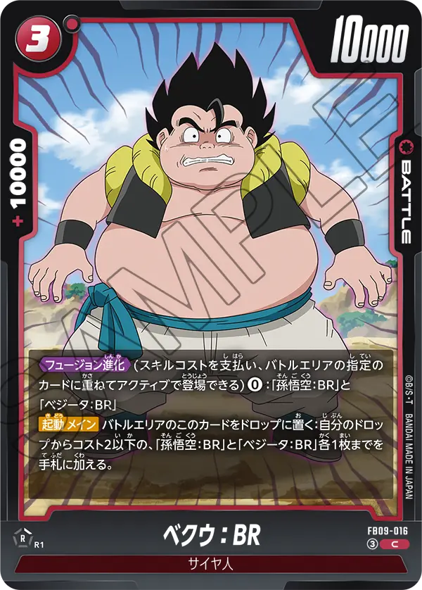 FB09-016 ベクウ：BR