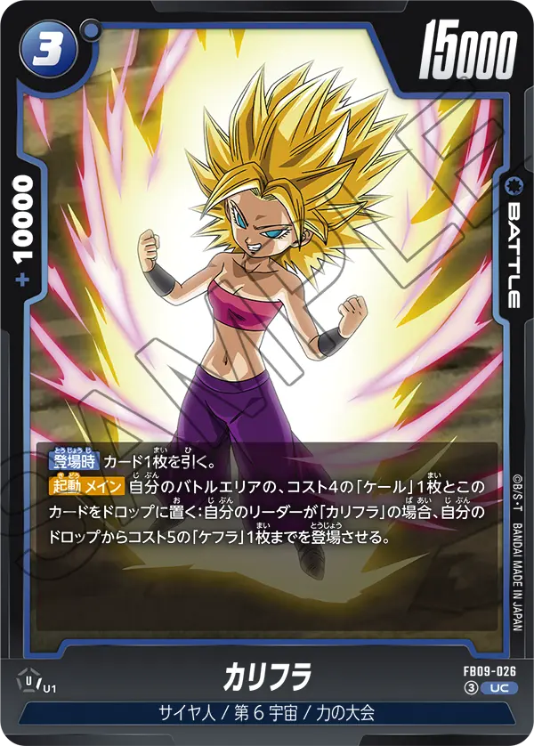 FB09-026 カリフラ