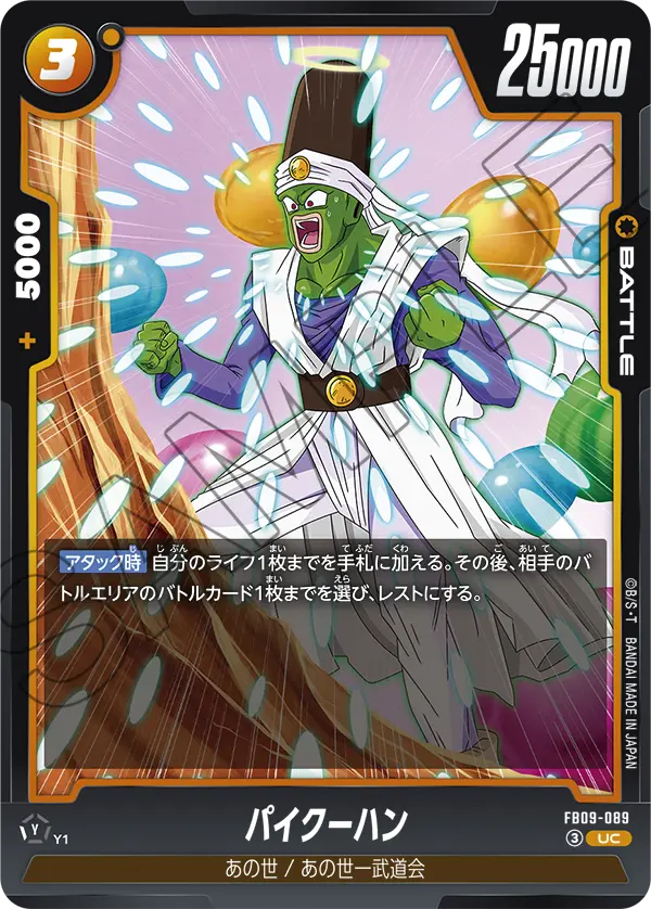 FB09-089 パイクーハン