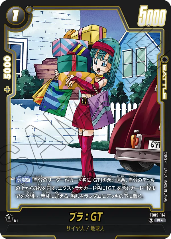 FB09-114 ブラ：GT