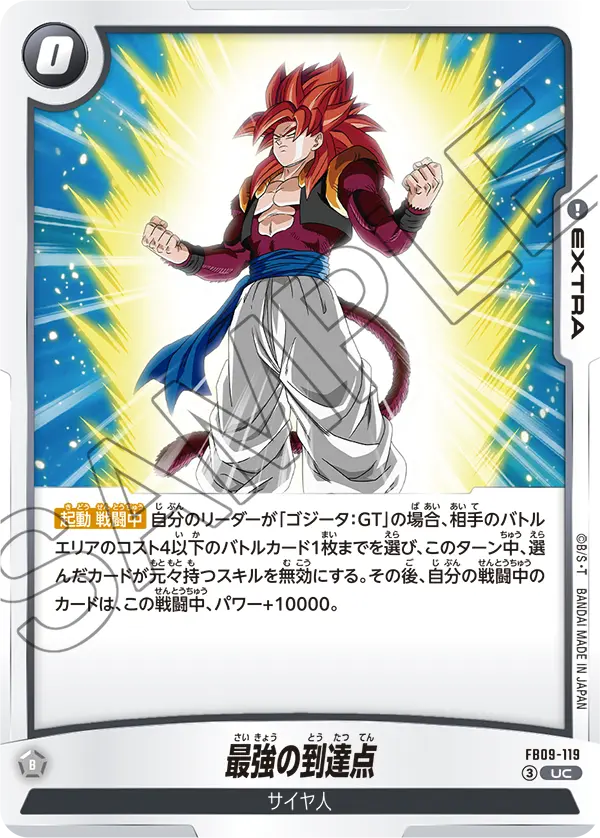 FB09-119 最強の到達点