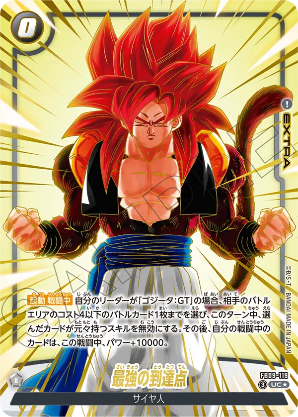 FB09-119 最強の到達点