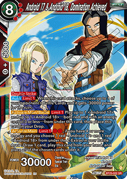 Android 17 & Android 18, Domination Achieved
