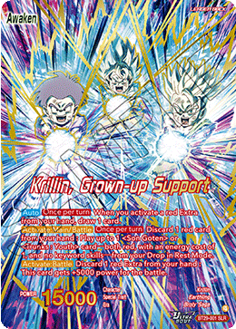 Krillin, Grown-up Support