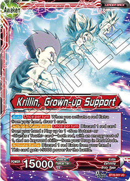 Krillin, Grown-up Support