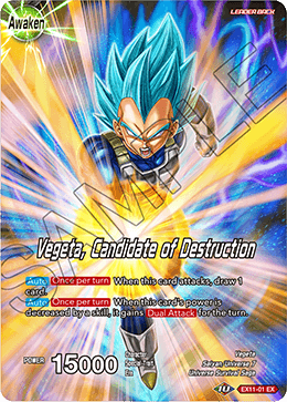 Vegeta, Candidate of Destruction