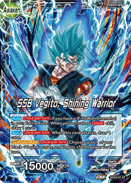 SSB Vegito, Shining Warrior