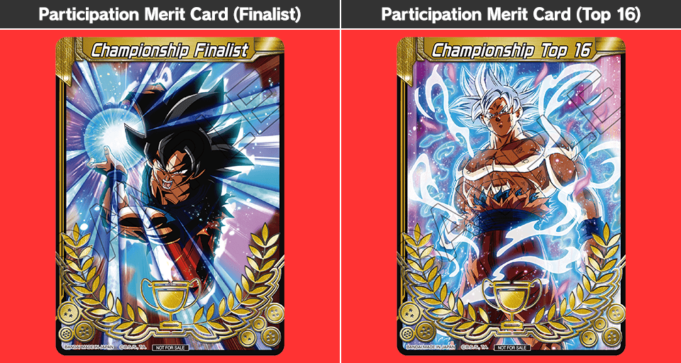 Participation Merit Card