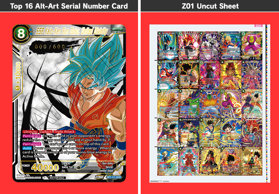 Dragon Ball Super Card Game, Oceania, Zenkai Cup ONLINE on