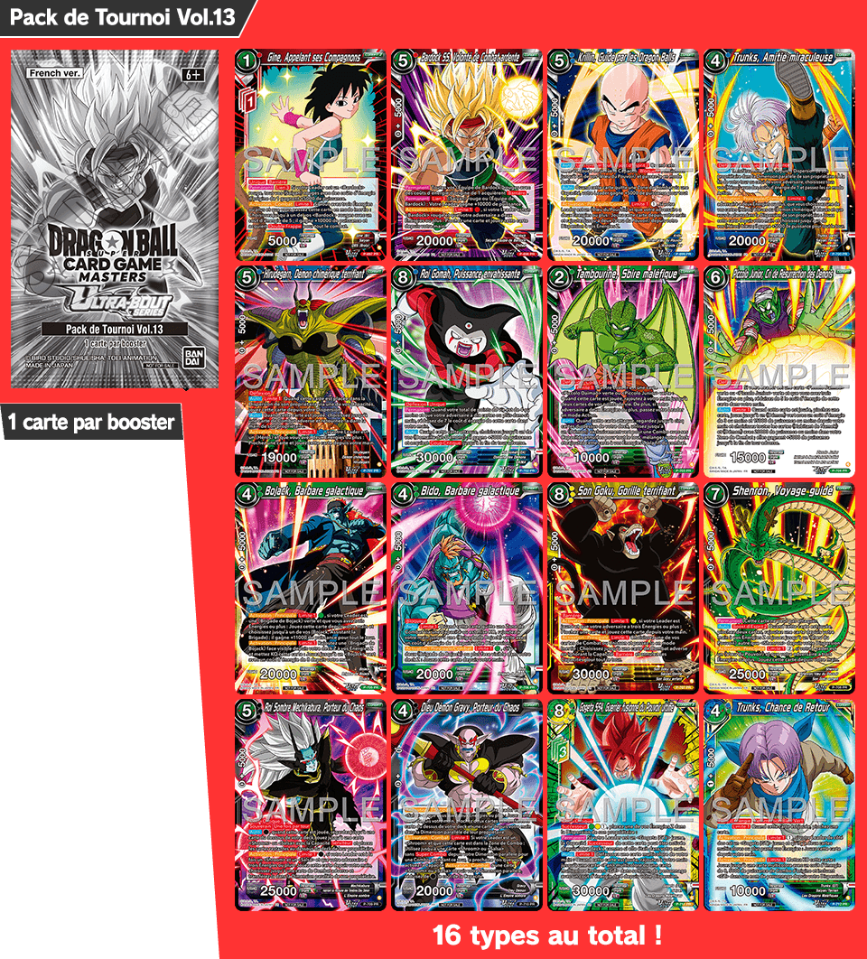 Pack de Tournoi Vol.13