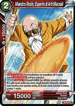 Maestro Roshi, Esperto di Arti Marziali