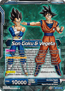 Son Goku & Vegeta