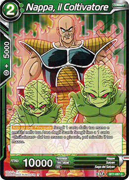 Nappa, il Coltivatore