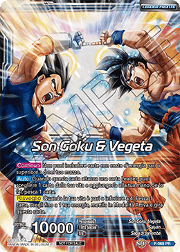 Son Goku & Vegeta